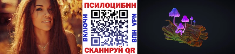 Купить закладки  Моздок  Галлюциногенные грибы прущие грибы 